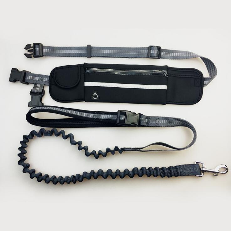 TrailMate Pro: Shock-Absorbing Hands-Free Dog Leash with Storage | Perfect for Hikers andJoggers