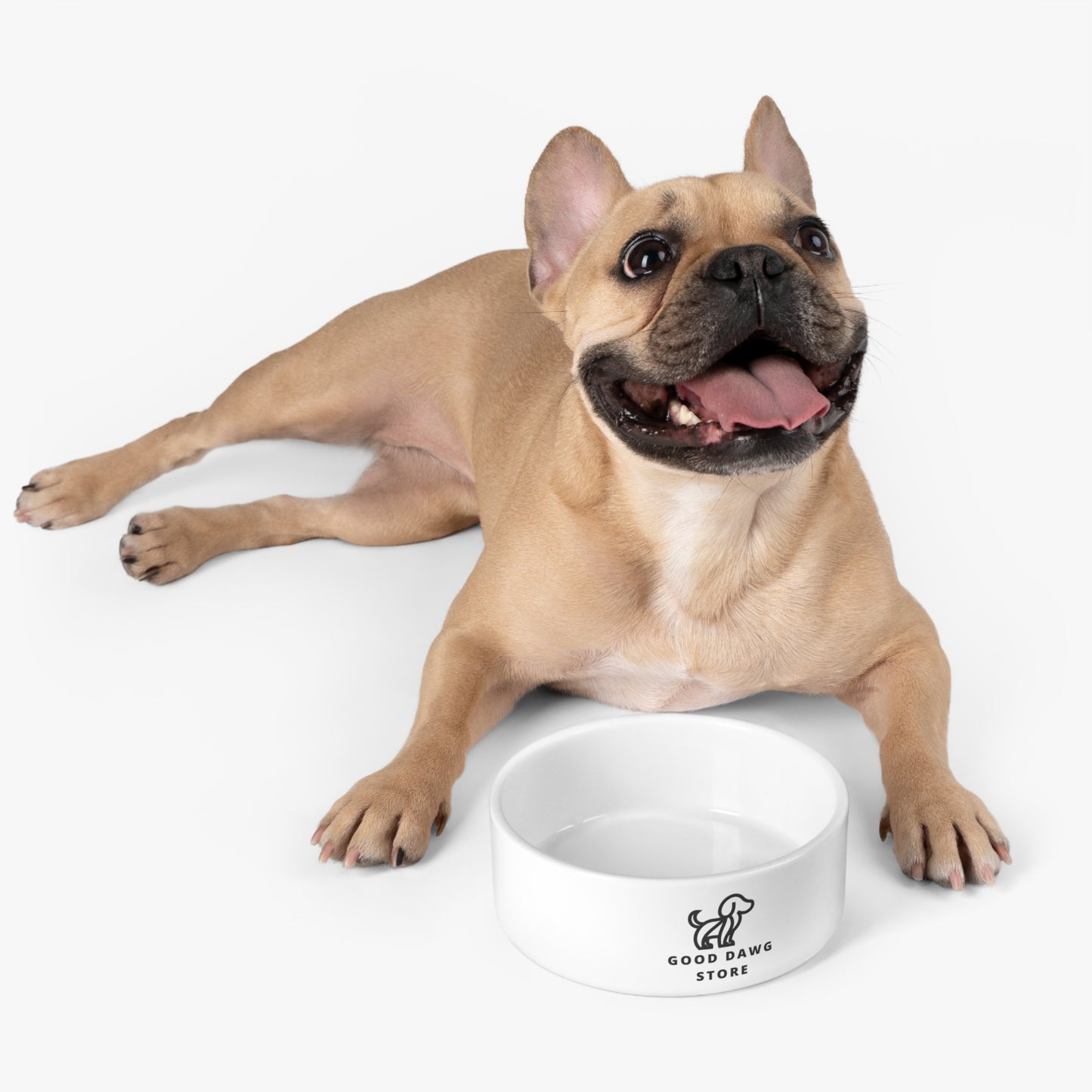 Artisan Pet Bowl Collection - Where Style Meets Function