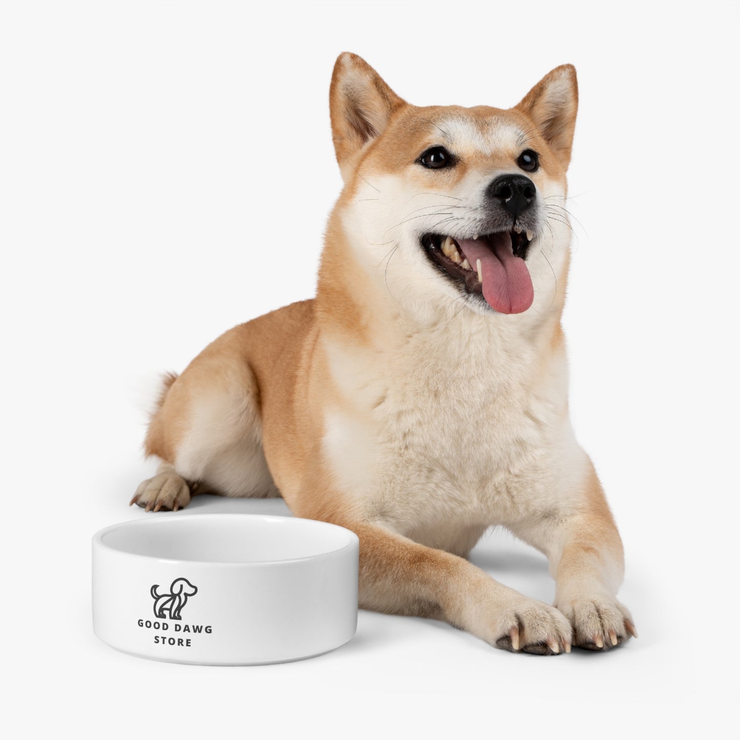 Artisan Pet Bowl Collection - Where Style Meets Function