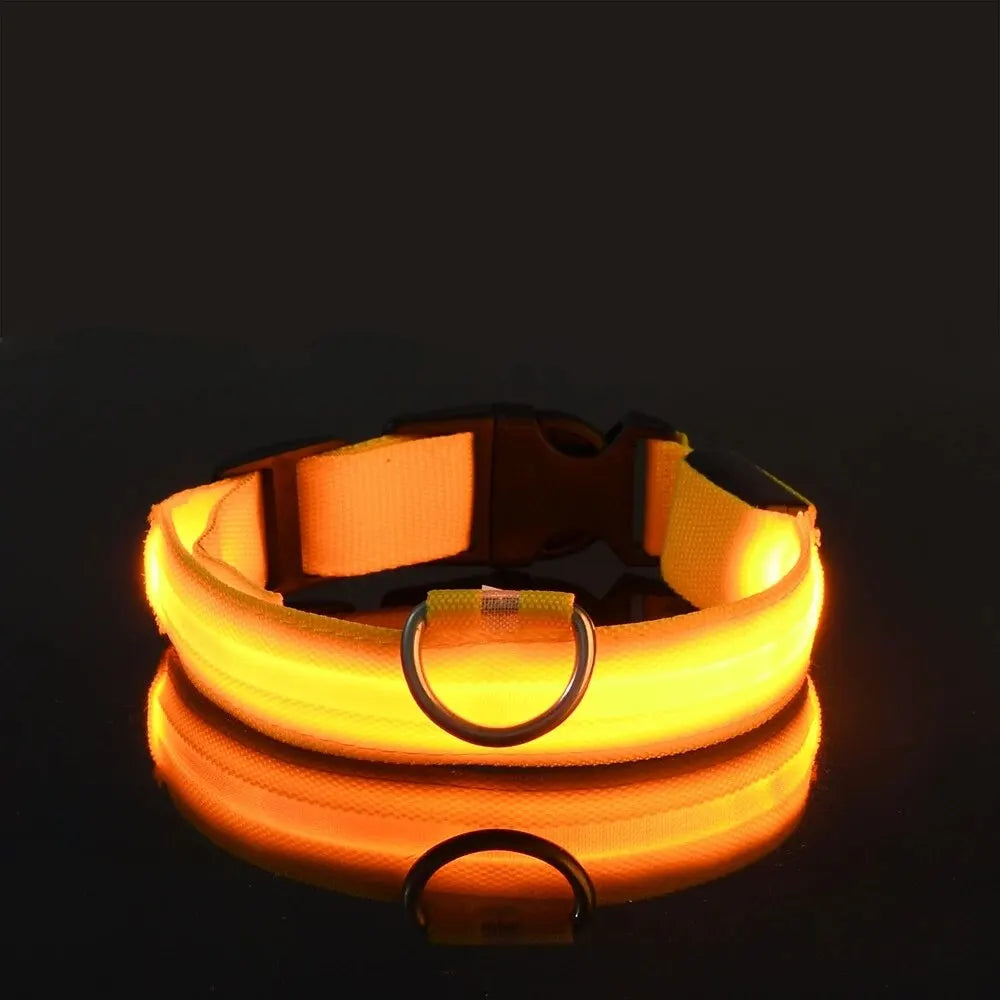 Illuminate Your Walks: LED Safety Dog Collar