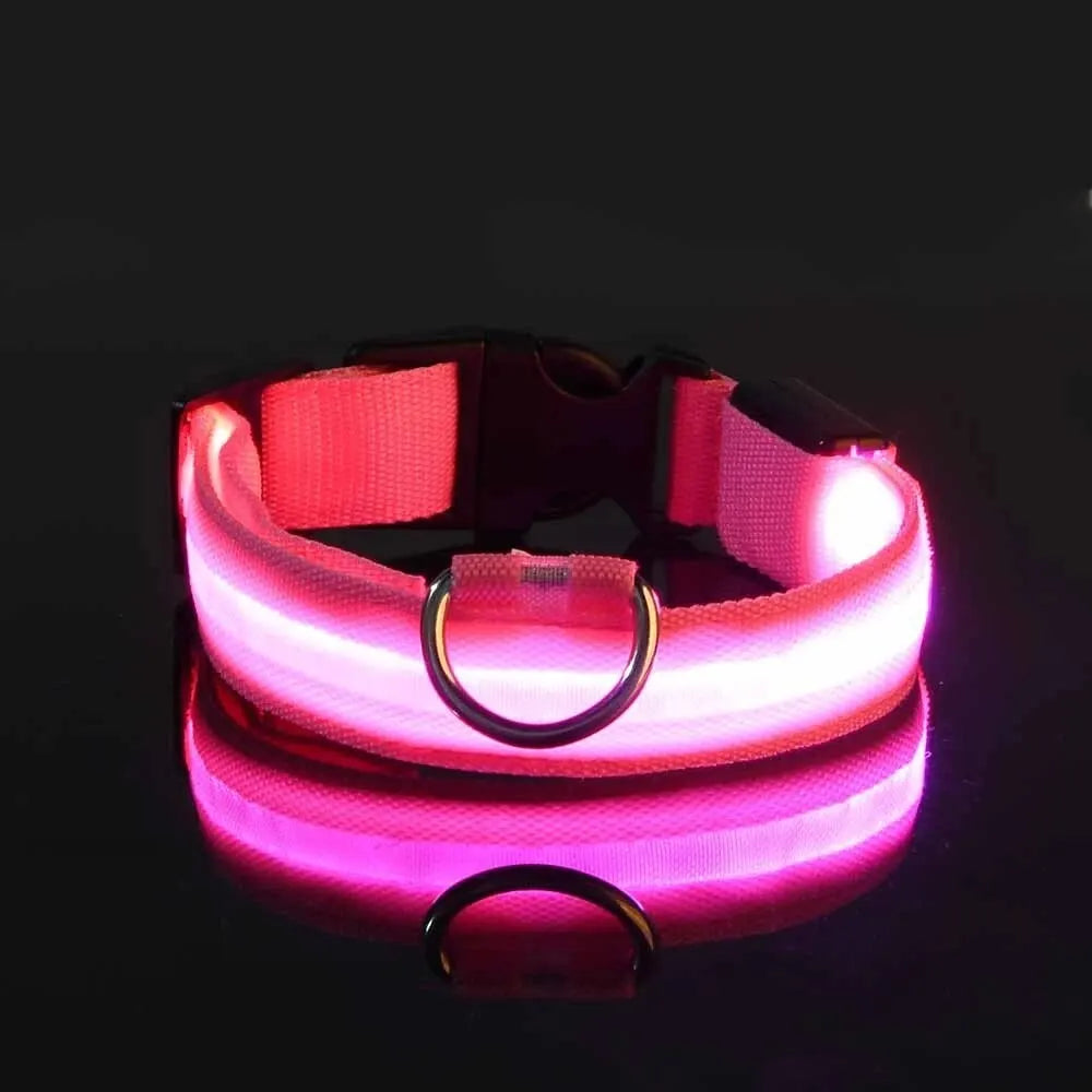 Illuminate Your Walks: LED Safety Dog Collar