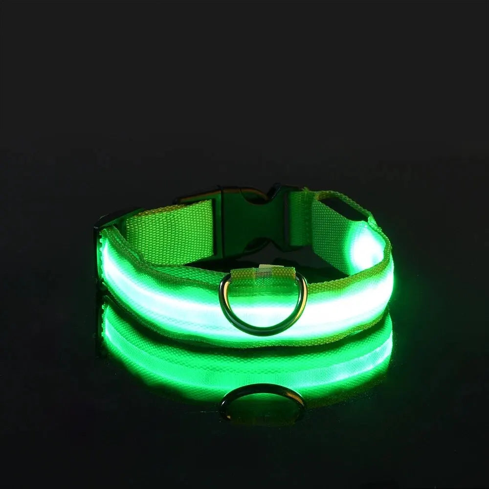 Illuminate Your Walks: LED Safety Dog Collar