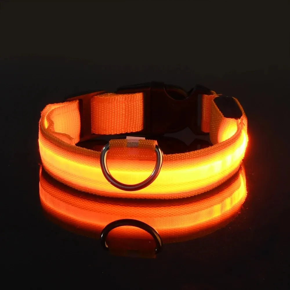 Illuminate Your Walks: LED Safety Dog Collar