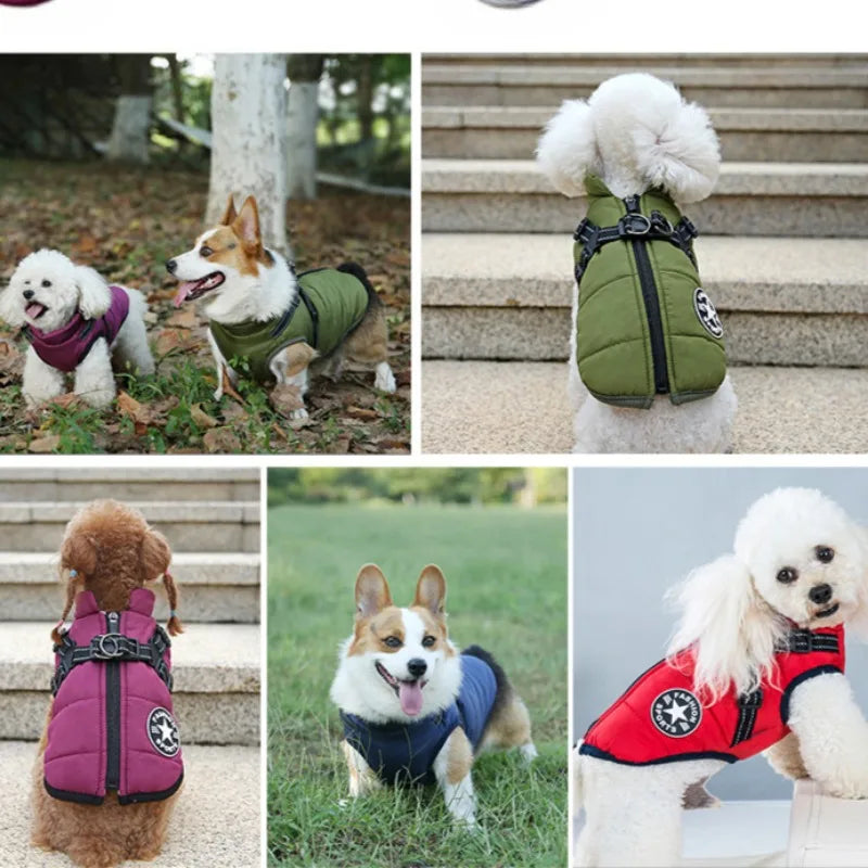 Luxury Winter Dog Coat with Built-in Harness - Waterproof Warm Vest for Small Breeds