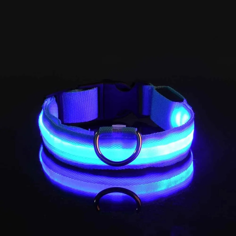 Illuminate Your Walks: LED Safety Dog Collar