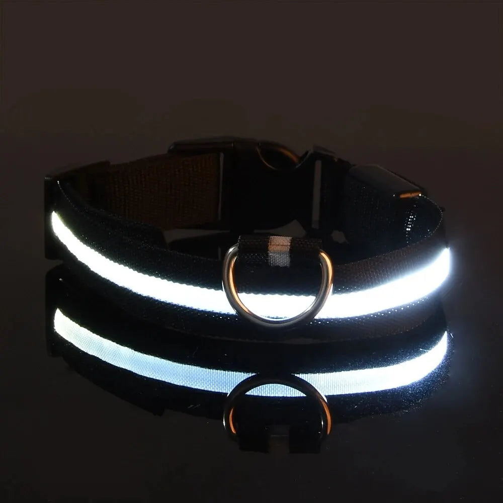 Illuminate Your Walks: LED Safety Dog Collar