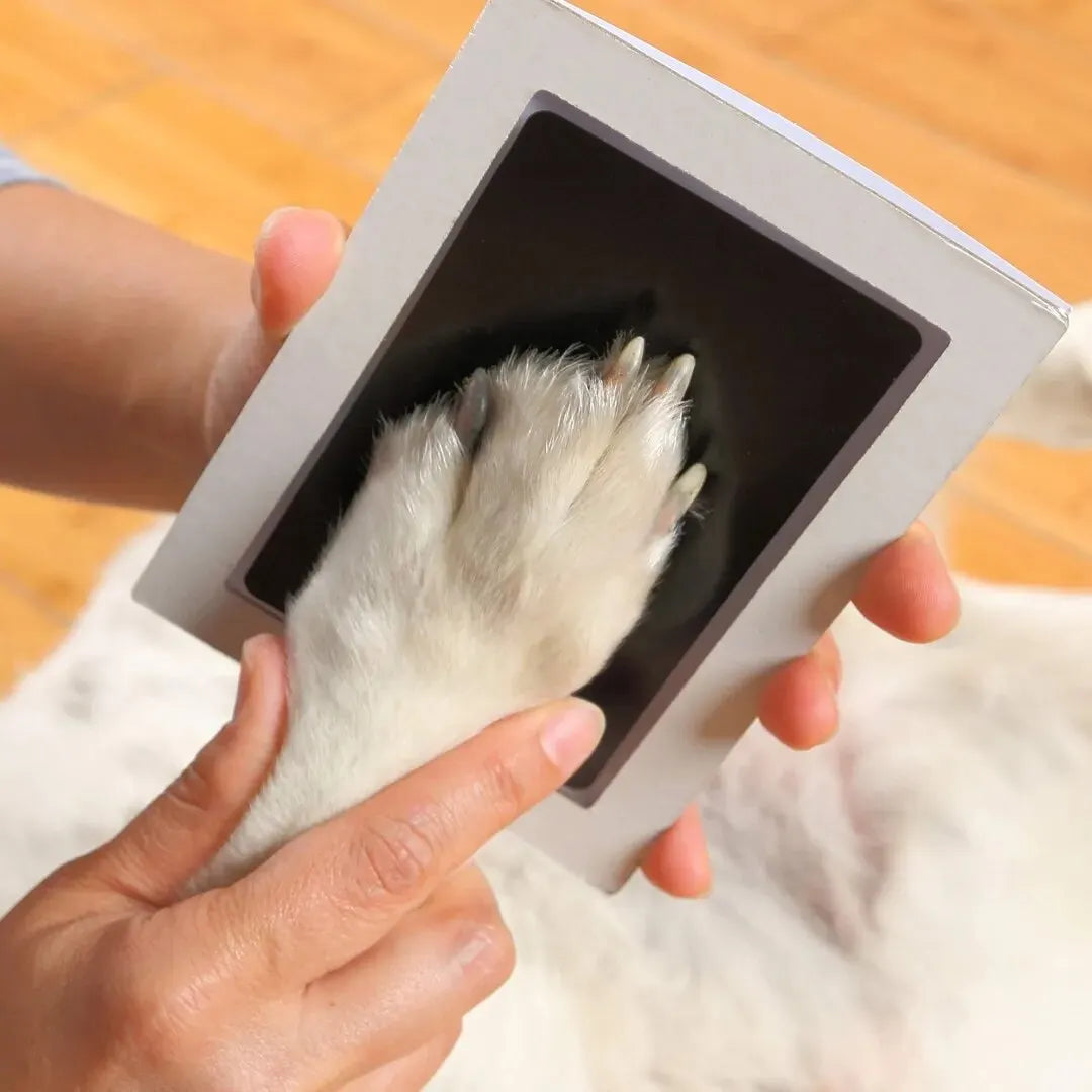 Cherish Their Paw Forever: Pet Print Memory Kit - Clean & Inkless