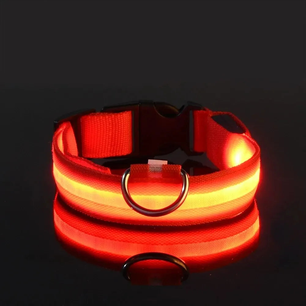 Illuminate Your Walks: LED Safety Dog Collar