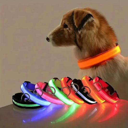 Illuminate Your Walks: LED Safety Dog Collar