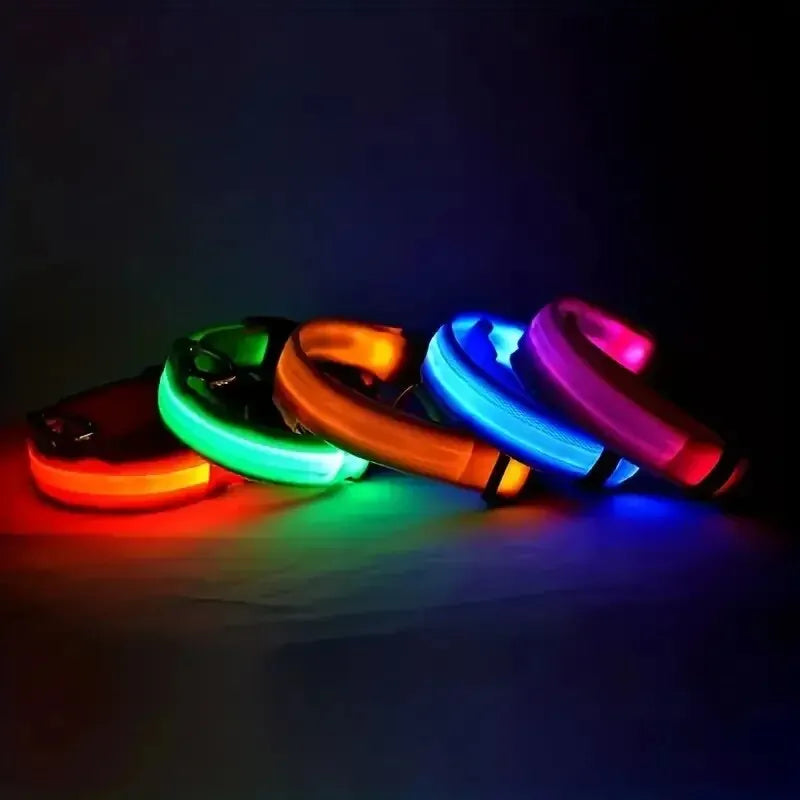 Illuminate Your Walks: LED Safety Dog Collar