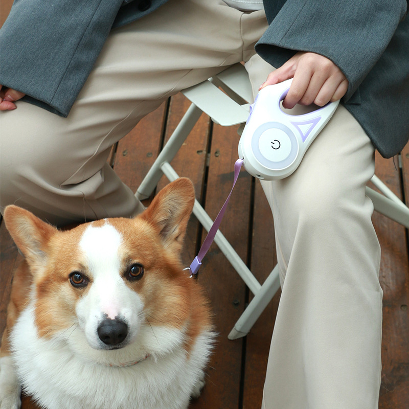 Walk Safely After Sunset: The Smart Leash with Built-in LED Technology