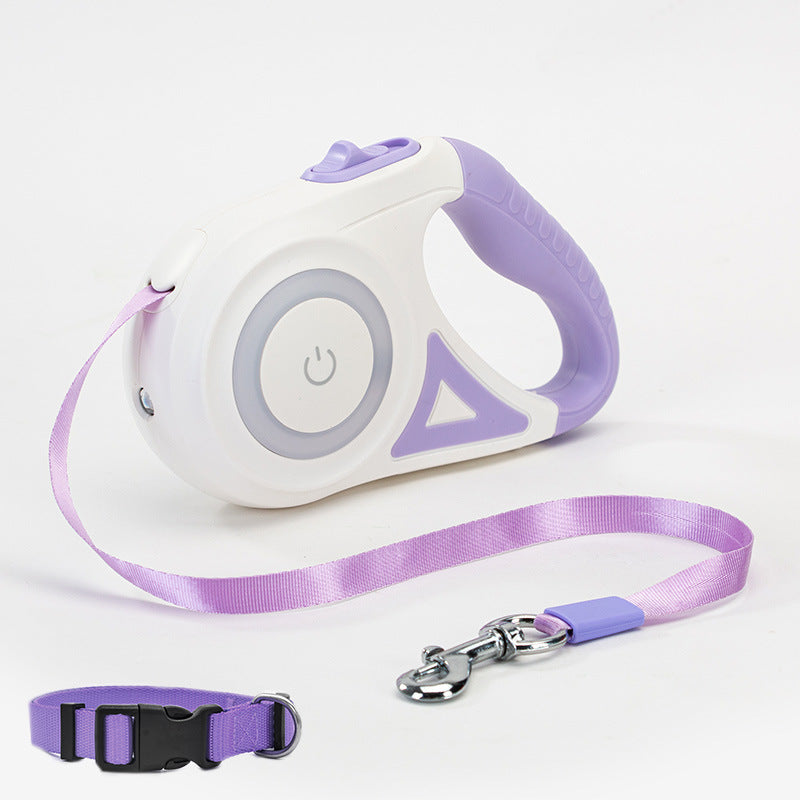 Walk Safely After Sunset: The Smart Leash with Built-in LED Technology