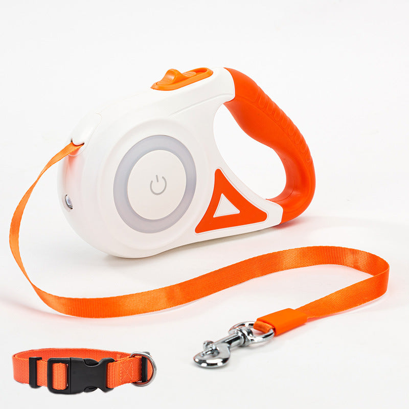 Walk Safely After Sunset: The Smart Leash with Built-in LED Technology